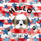 Stars N Stripes - Female Reusable Dog Nappy Hello Coucou