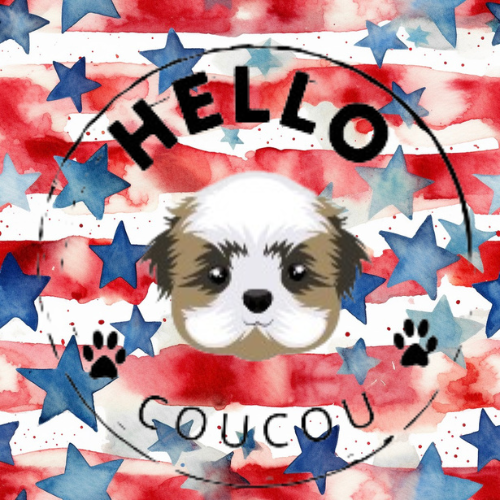 Stars N Stripes - Female Reusable Dog Nappy Hello Coucou