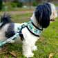 Karma Chameleon - Double Sided Reversible Harness Hello Coucou