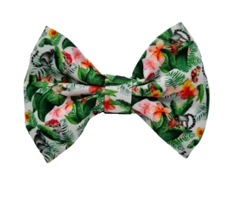 Karma Chameleon  - Bow Tie