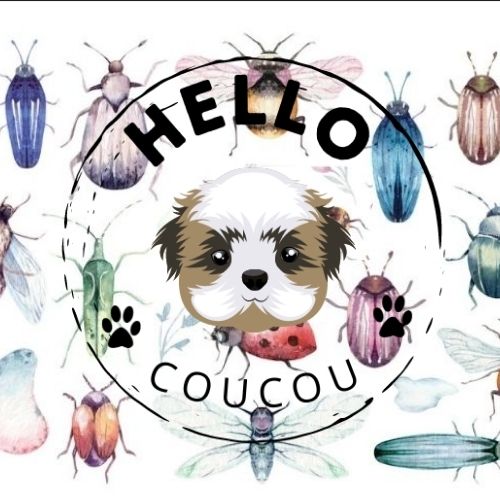 Bug Out & About - Collar with Bell Hello Coucou