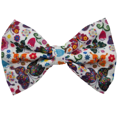 Butterfly Away  - Bow Tie Hello Coucou