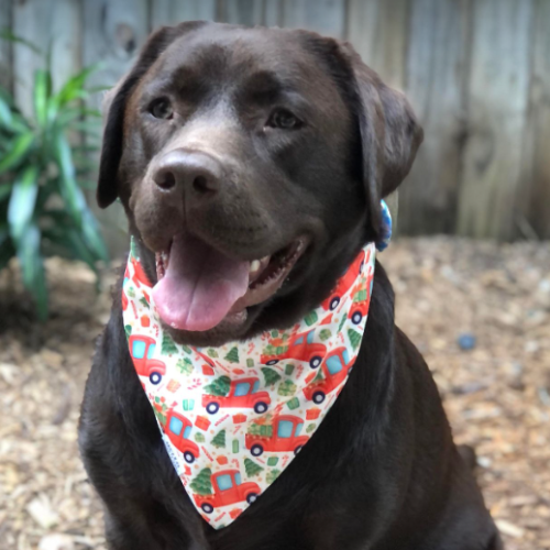 Christmas Utes - Double Sided Bandana Hello Coucou