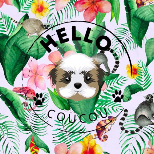 Karma Chameleon - Double Sided Reversible Harness Hello Coucou